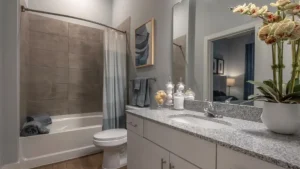 Conroe Apartments With Bathtub